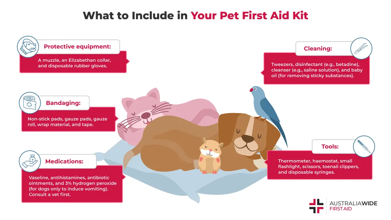 Infographic on what to include in a pet first aid kit